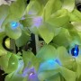 1x fkf01 light up Flower chain garland