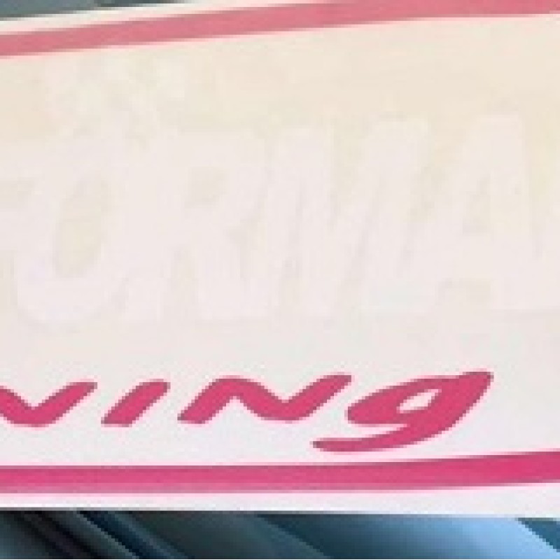 fkw08 fk performance pink/ blue fk / white windscreen sticker  fkw08 fk performance pink/ blue fk / white windscreen sticker