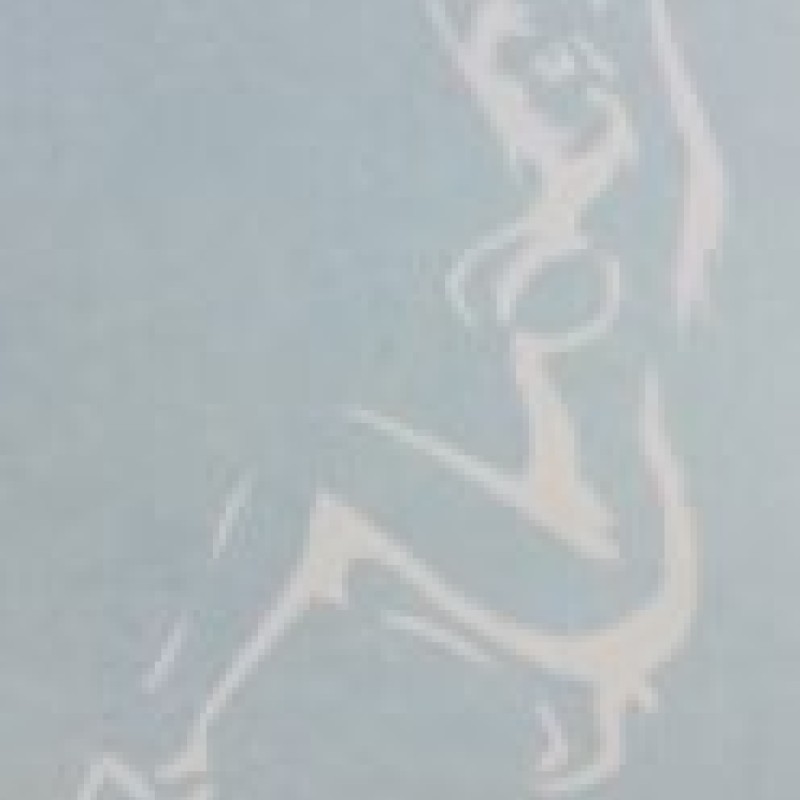 Girl Decal for truck etc x1 