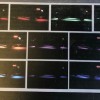 LED under car lighting kit 