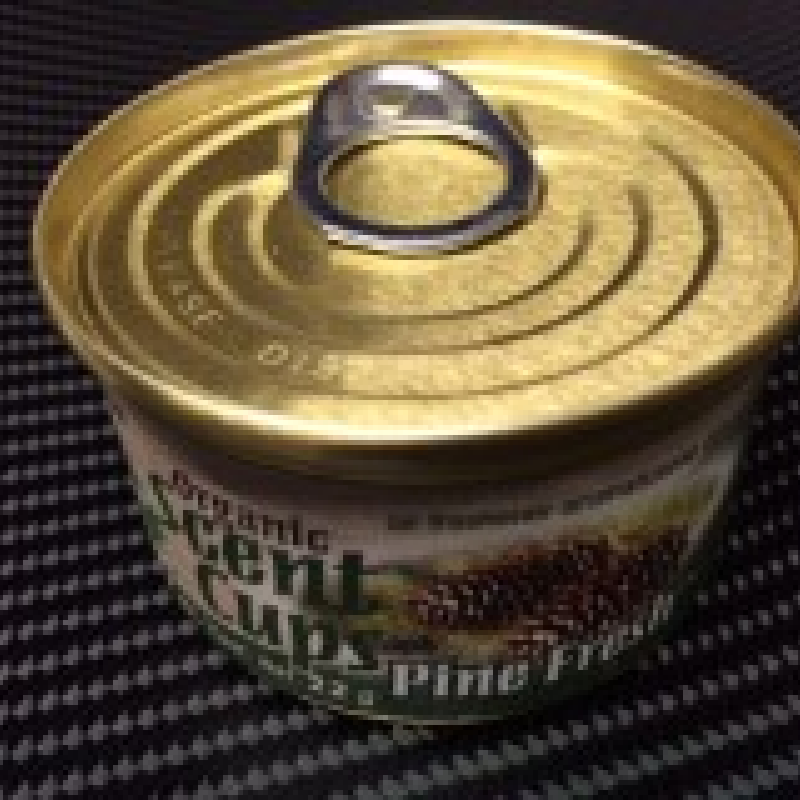 Little Tree Organic Scent Cup Air Freshener x1 Pine Fresh 