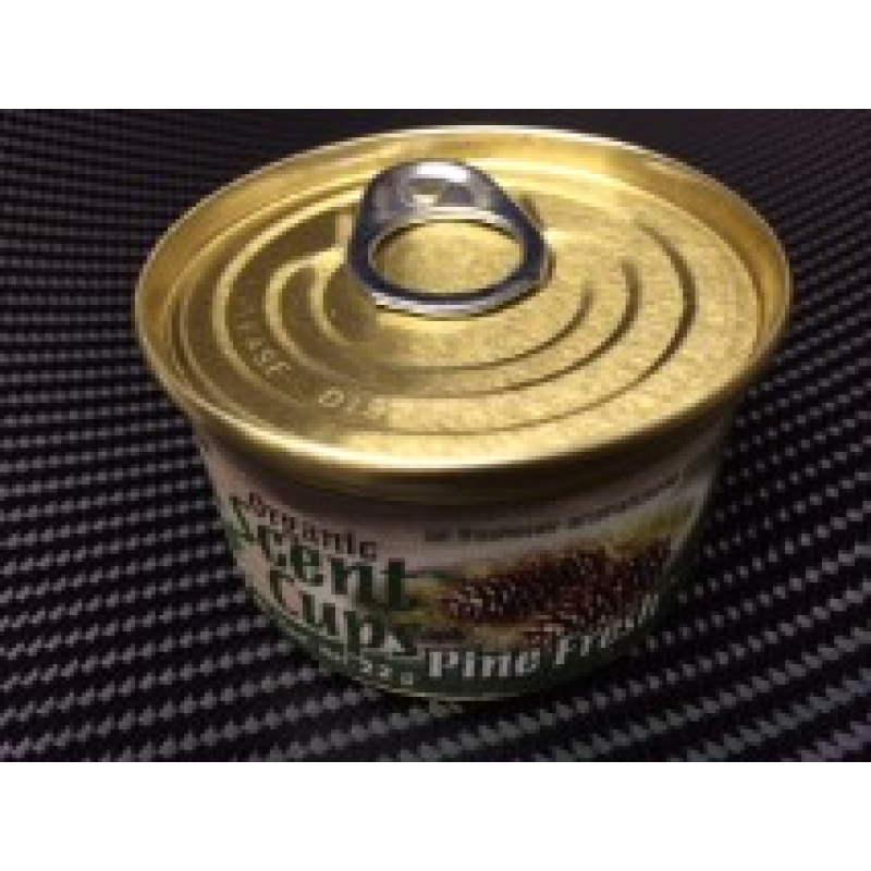 Little Tree Organic Scent Cup Air Freshener x1 Pine Fresh 
