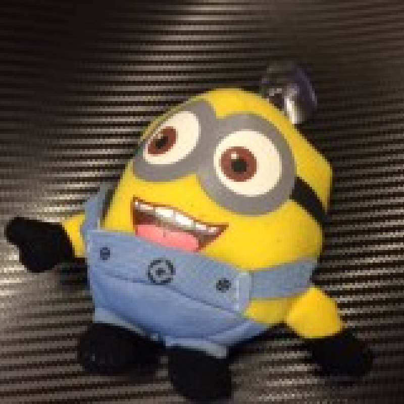 Minion teddy with keychain and suction cup x1  Minion teddy with keychain and suction cup x1