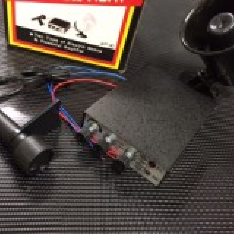 Rainbow Horn Siren & Mic *new* 