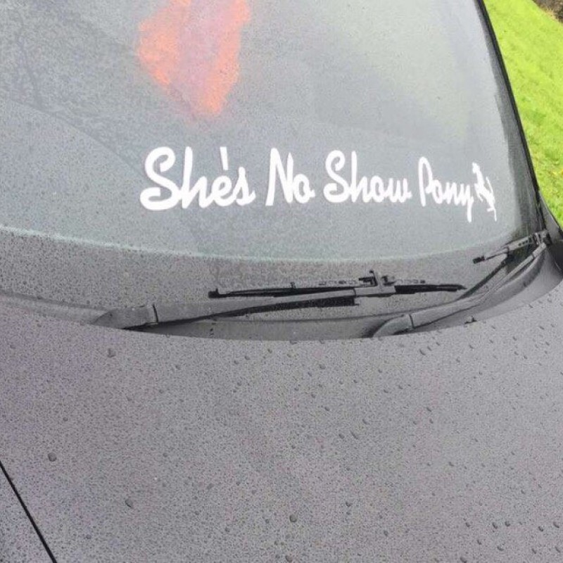 shes no show pony windscreen decal x1.  shes no show pony windscreen decal x1.