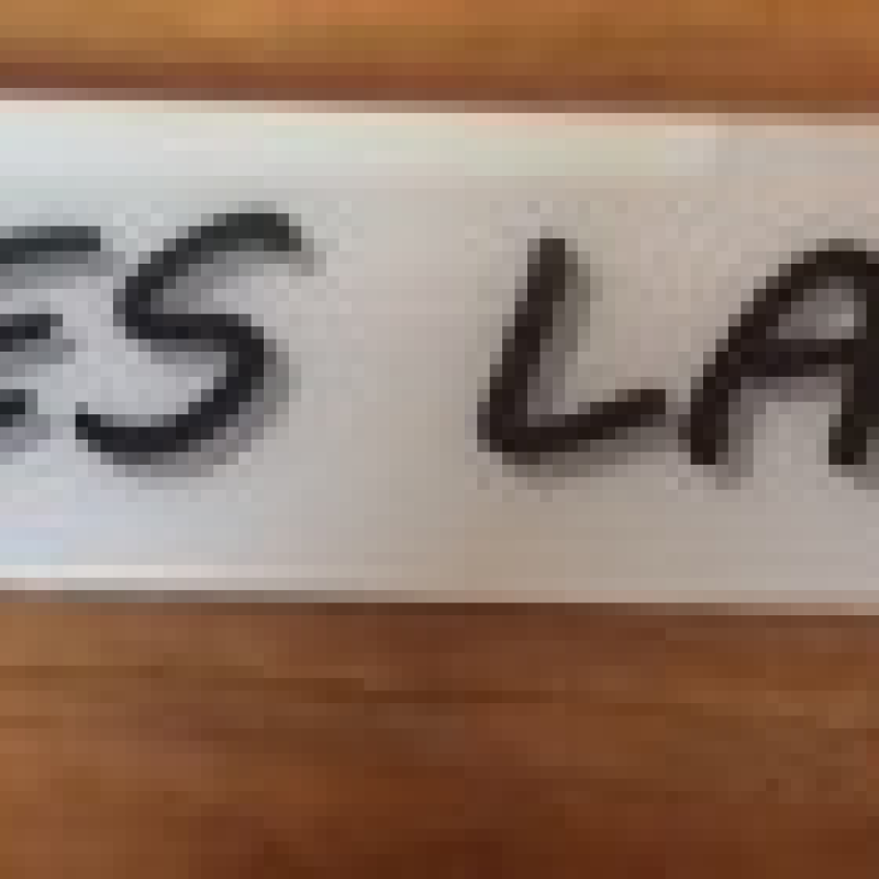 Yes Lad, show plate (plastic) x1  Yes Lad, show plate (plastic) x1